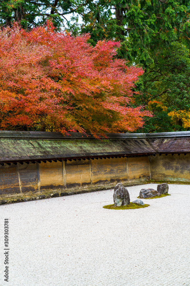 枯山水と紅葉したモミジ