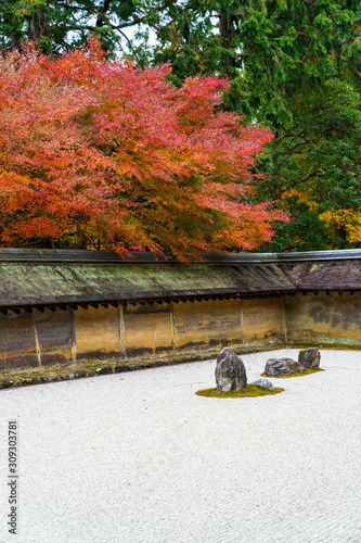 Obraz na płótnie 枯山水と紅葉したモミジ w salonie