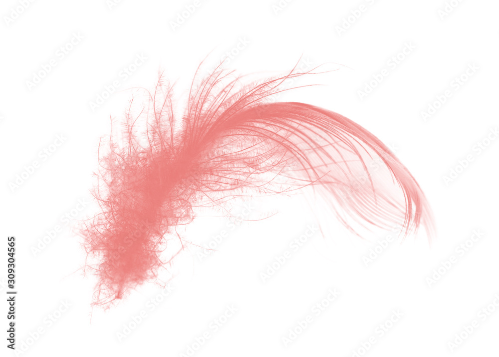 Fototapeta premium Beautiful light pink feather isolated on white background