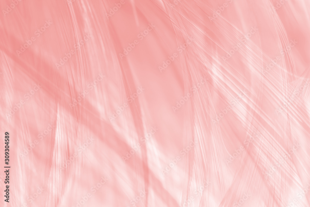 Fototapeta premium Beautiful line soft pink feather pattern texture background