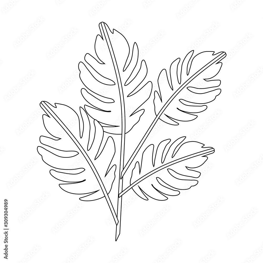 Isolated tropical leaves vector design