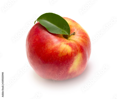 Ripe red-yellow apple on a white background.