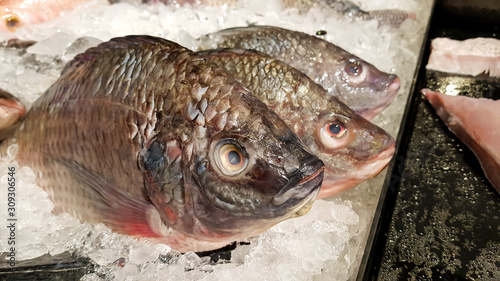 tilapia fish in store, preservation with ice
