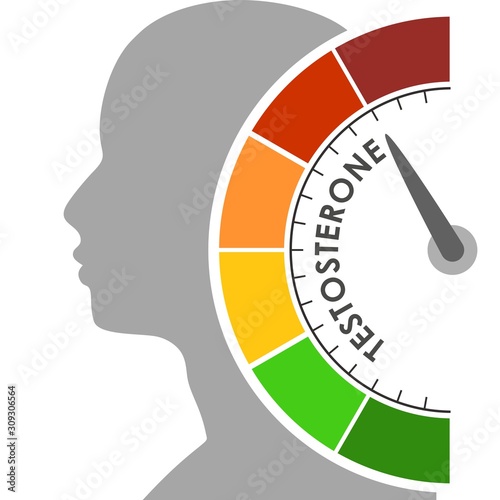 Hormone testosterone level measuring scale. Health care concept illustration. Head of man silhouette. From red to green scale.
