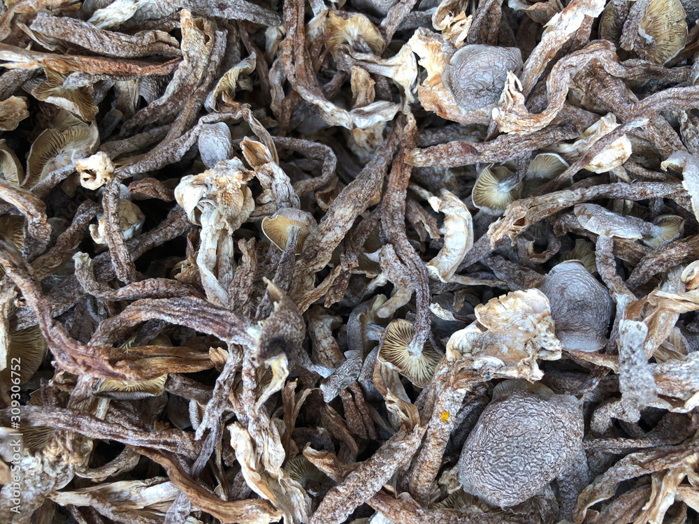 Dried boletus mushrooms for sale on the market Dried boletus mushrooms for sale on the market