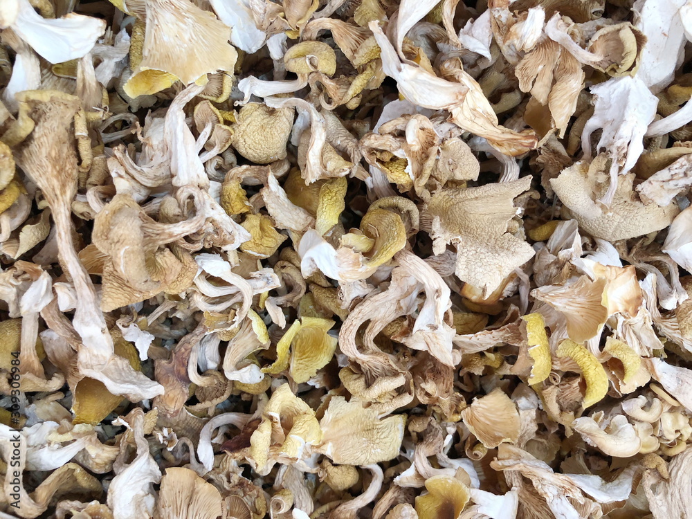 Dried boletus mushrooms for sale on the market Dried boletus mushrooms for sale on the market