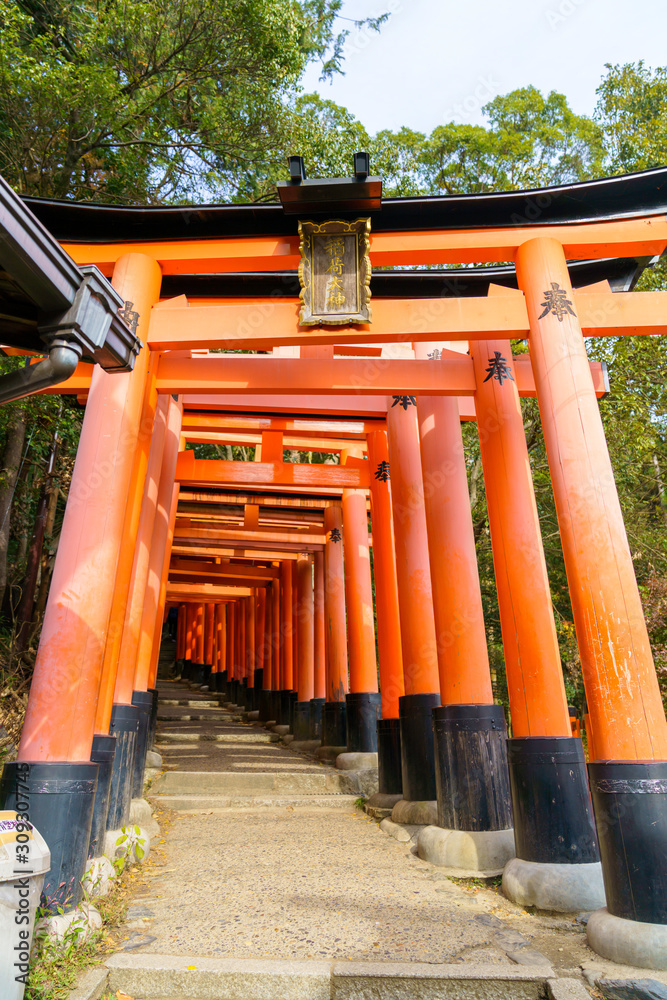 神社の鳥居