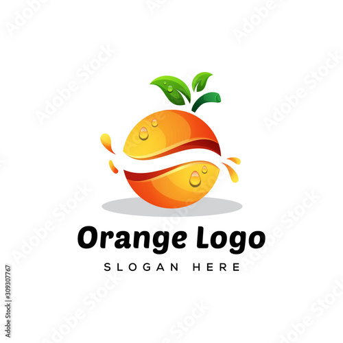 fruit orange logo design