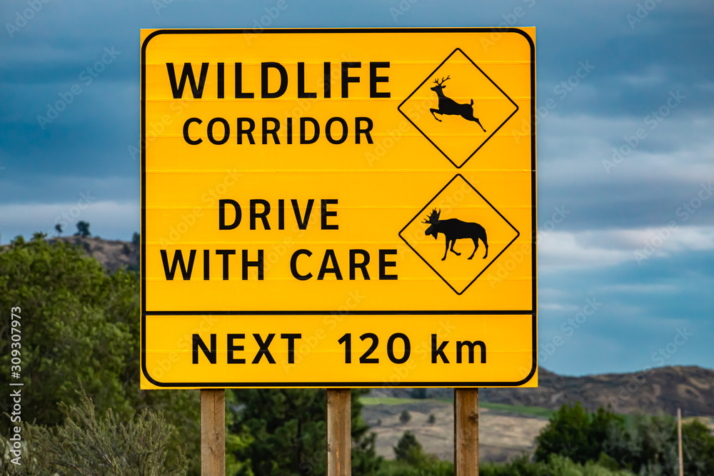 Big yellow warning road Sign, wildlife corridor, drive with care, the next 120 km. with deer and moose symbols, on the Canadian rural roadside