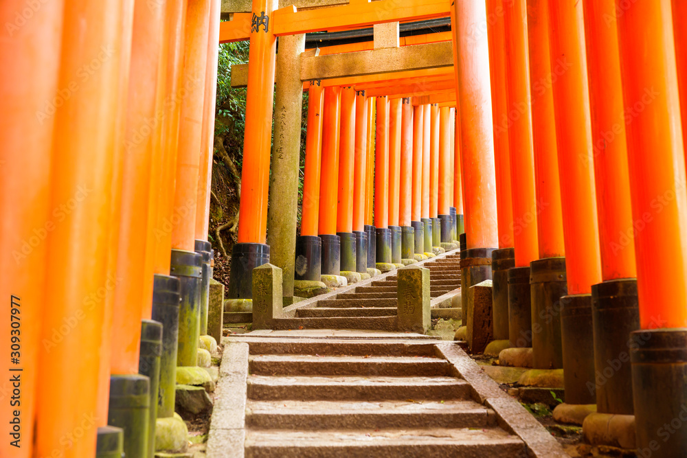 神社の鳥居