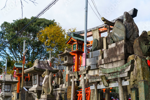 神社の鳥居と狐