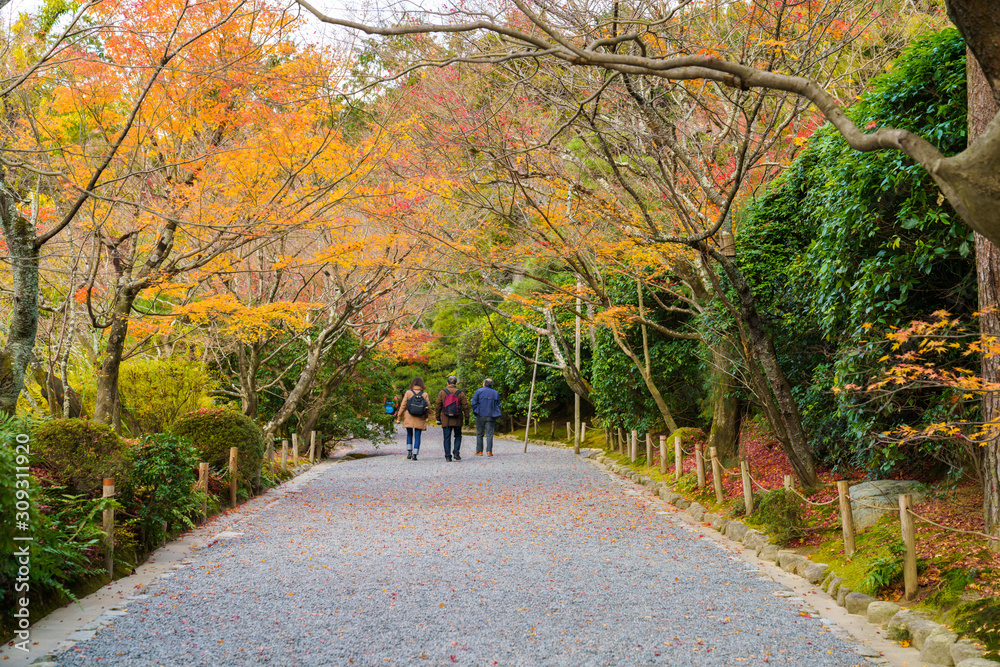 寺と紅葉と観光客