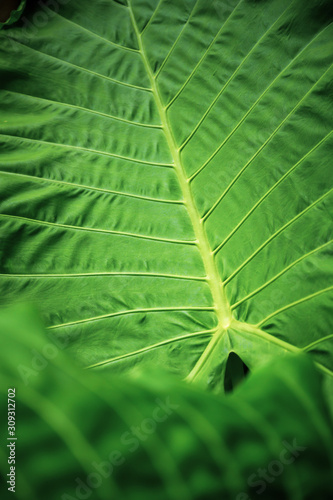 abstract texture background...