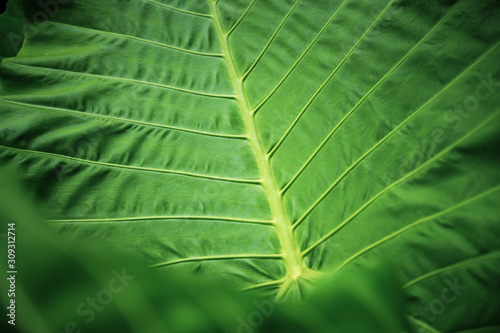 abstract texture background...