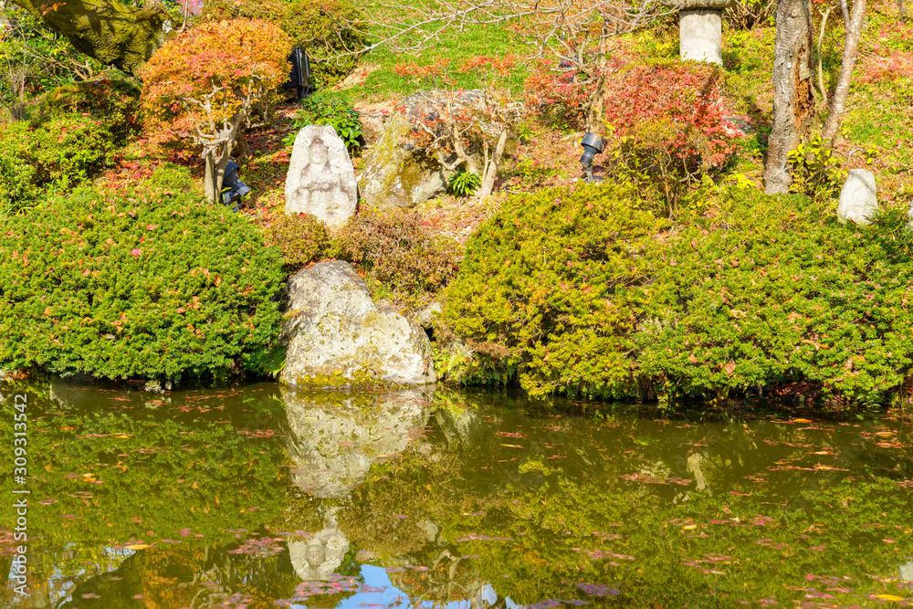 庭園の池