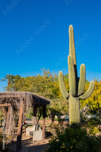 Canvas Print Beautiful landscape of the UNLV