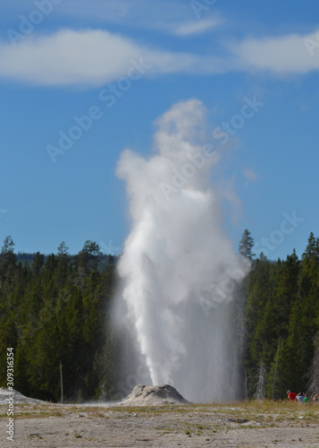 Old Faithful