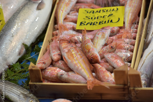 variety of fish in the fish market of Istanbul photo
