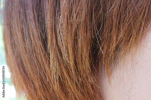 Dry, damaged, split hair ends from hair coloring. Colored female hair. Background of colored hair