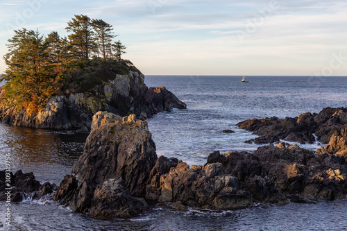 Wild Pacifc Trail, Ucluelet, Vancouver Island, BC, Canada. Beautiful View of the Rocky Ocean Coast during a colorful and vibrant morning sunrise. photo