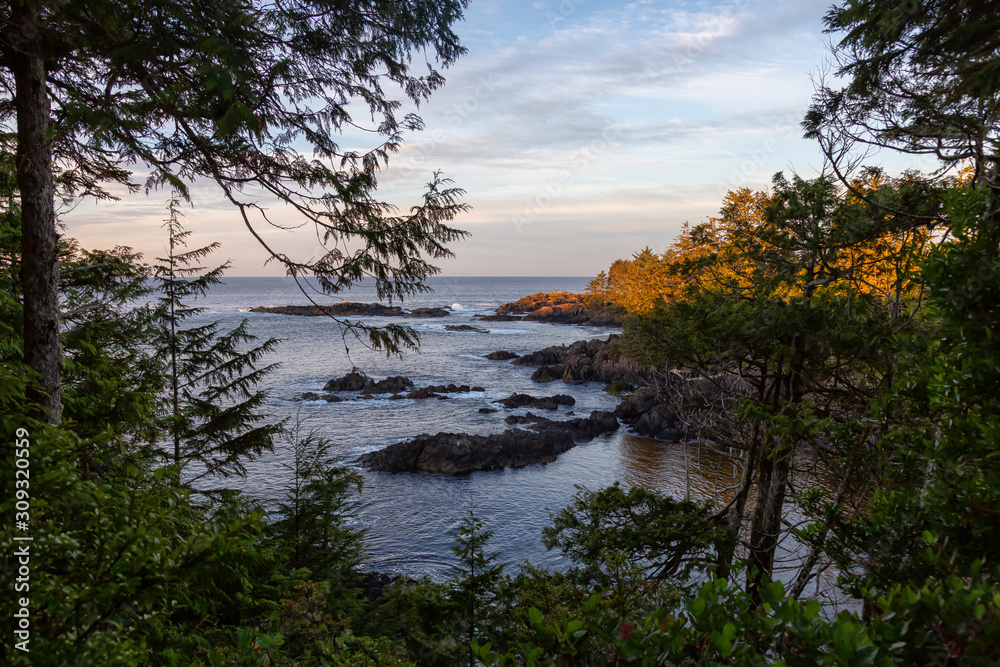 Fototapeta premium Wild Pacifc Trail, Ucluelet, Vancouver Island, BC, Canada. Beautiful View of the Rocky Ocean Coast during a colorful and vibrant morning sunrise.