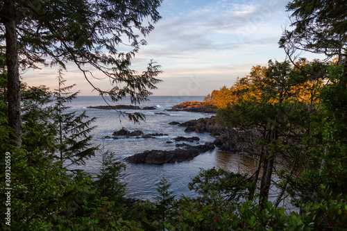 Fototapeta Naklejka Na Ścianę i Meble -  Wild Pacifc Trail, Ucluelet, Vancouver Island, BC, Canada. Beautiful View of the Rocky Ocean Coast during a colorful and vibrant morning sunrise.