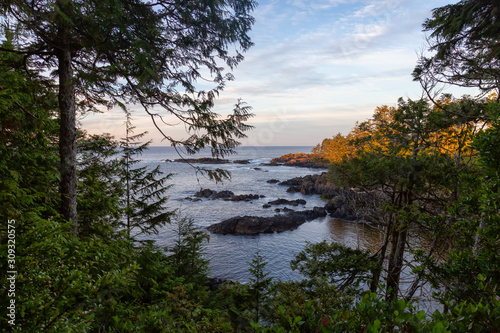 Wild Pacifc Trail  Ucluelet  Vancouver Island  BC  Canada. Beautiful View of the Rocky Ocean Coast during a colorful and vibrant morning sunrise.