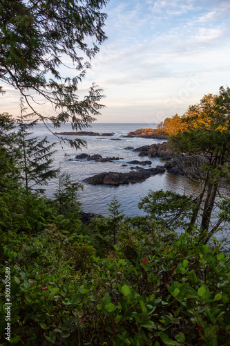 Fototapeta Naklejka Na Ścianę i Meble -  Wild Pacifc Trail, Ucluelet, Vancouver Island, BC, Canada. Beautiful View of the Rocky Ocean Coast during a colorful and vibrant morning sunrise.