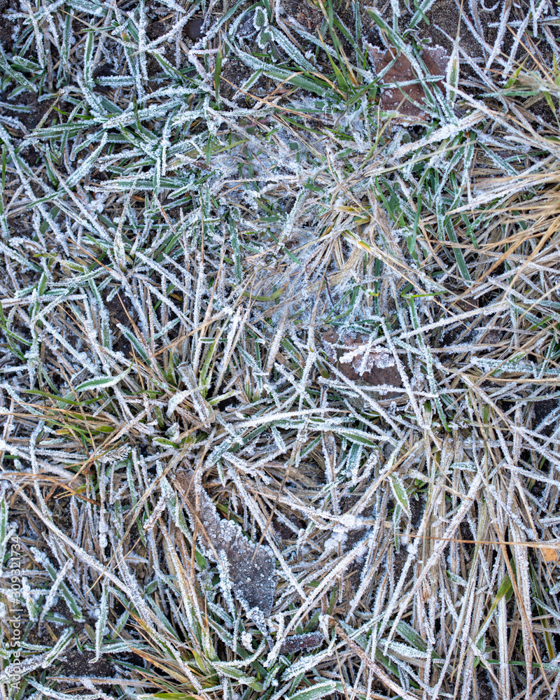 Hoarfrost on the grass as an abstract background Hoarfrost on the grass as an abstract background