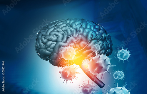 Virus attacking a human brain. 3d illustration. photo