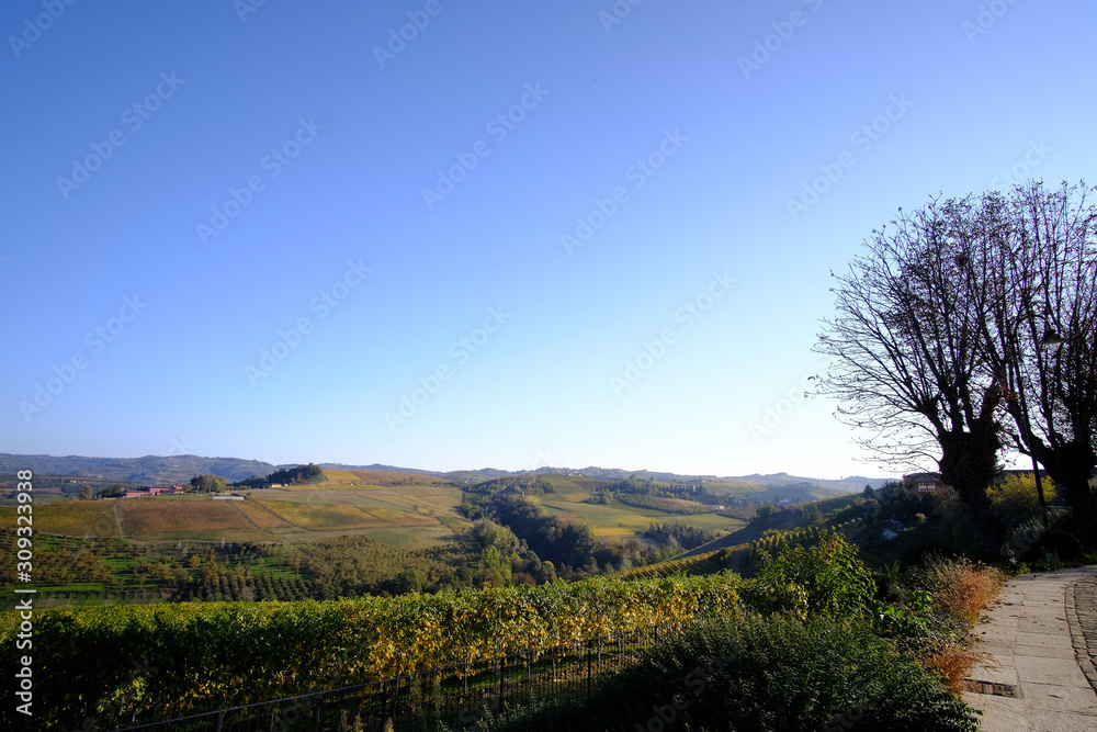 typical landscapes of the Piedmontese Langhe typical landscapes of the Piedmontese Langhe