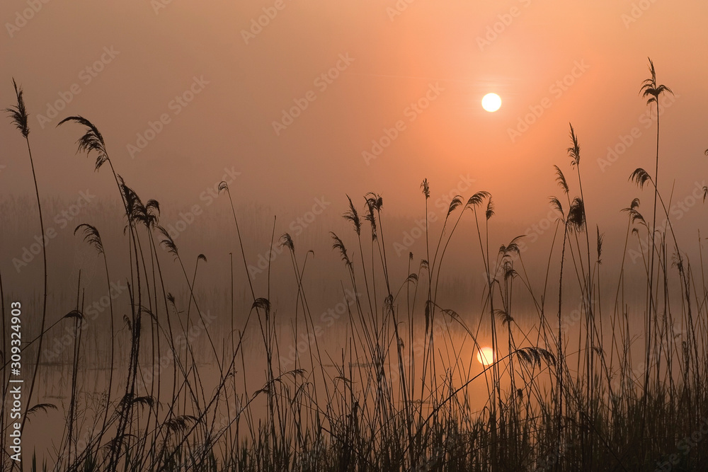 Sunrise on the oxbow lake of the Drava River, Croatia