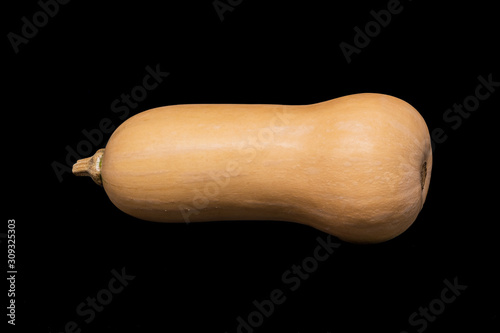 Close up of Butter-Nut Pumpkin isolated on black