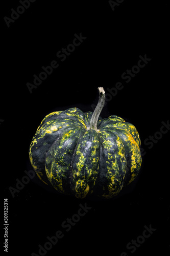 Close up of Green Pumpkin isolated on black (Ornamental Pumpkin)