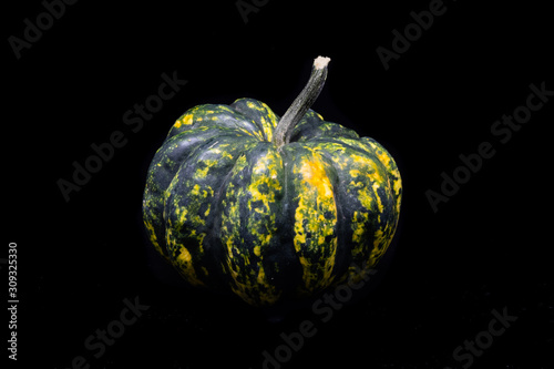 Close up of Green Pumpkin isolated on black (Ornamental Pumpkin)