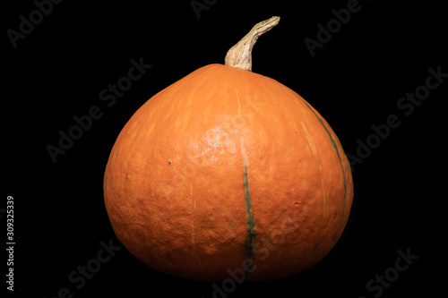 Close up of Golden Pumpkin isolated on black