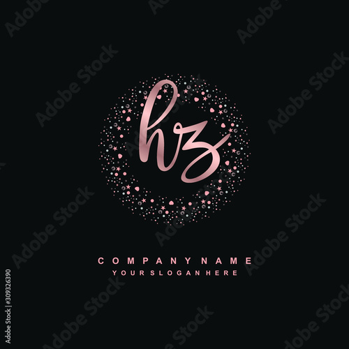 HZ Beauty vector initial logo, handwriting logo of initial signature, wedding, fashion, jewerly, boutique, floral and botanical with creative template for any company or business
