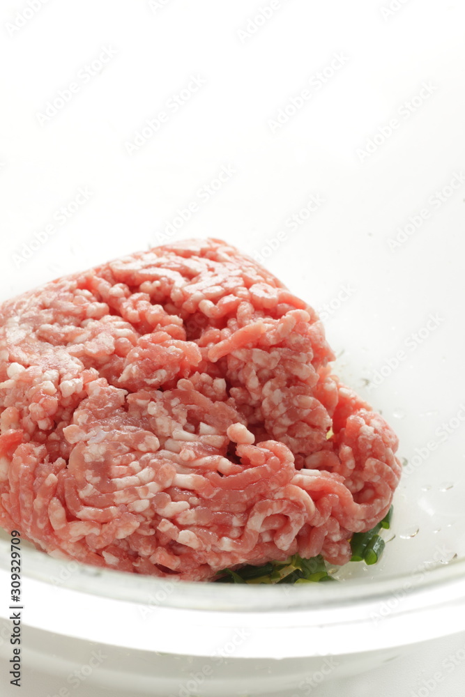 Ground pork and beef with seasoning and seasoning for patty ingredient Ground pork and beef with seasoning and seasoning for patty ingredient