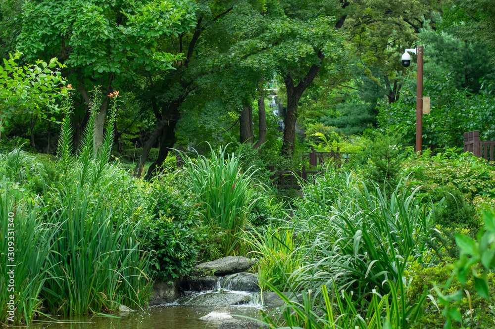 Obraz premium 公園