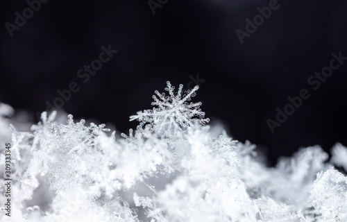 winter card, crystals of snow, winter photo © vadim_fl