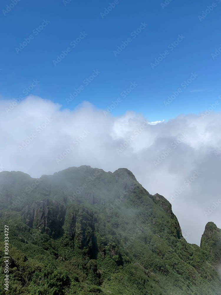 fog on the mountain and blue sky landscape