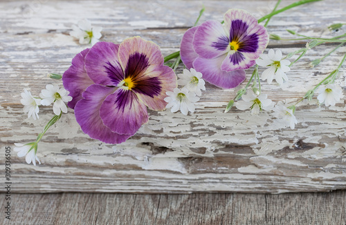 Nostalgic Flower Still Life With Pansies