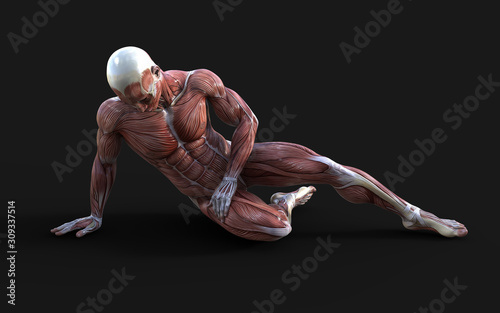 Canvas Print 3D render of male figures pose with skin and muscle map on dark background with clipping path, Concept of between gods pose