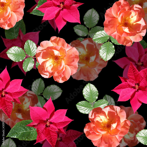 Beautiful floral background of poinsettia and orange roses. Isolated