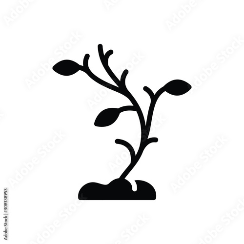 Black solid icon for few some 