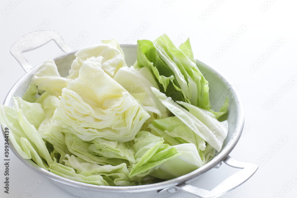Chopped cabbage on pan for prepared food ingredient Chopped cabbage on pan for prepared food ingredient