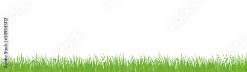 Grass lawn. Vector background frame. Green field. Design element. Place for text. Copy space. © ilyakalinin