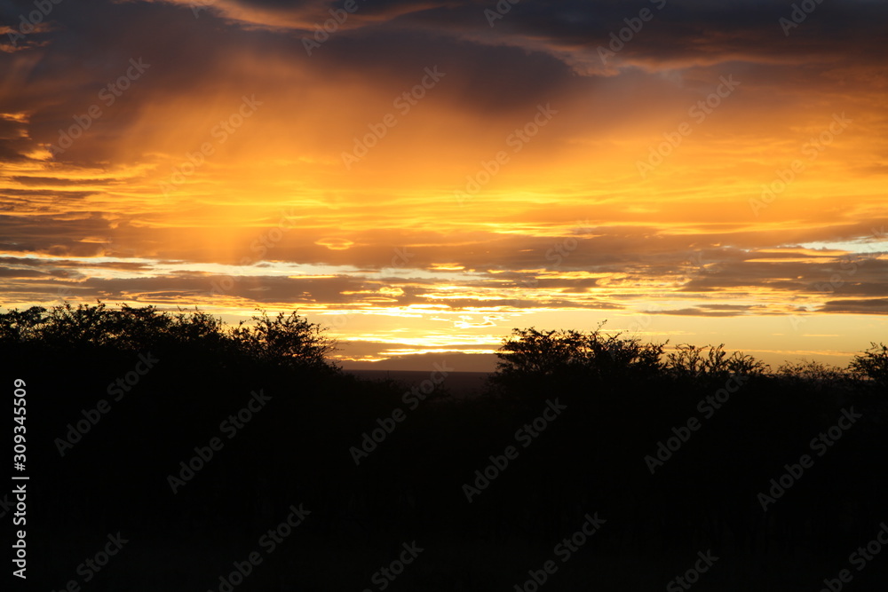 sunset over the throne bush in Tarangire
