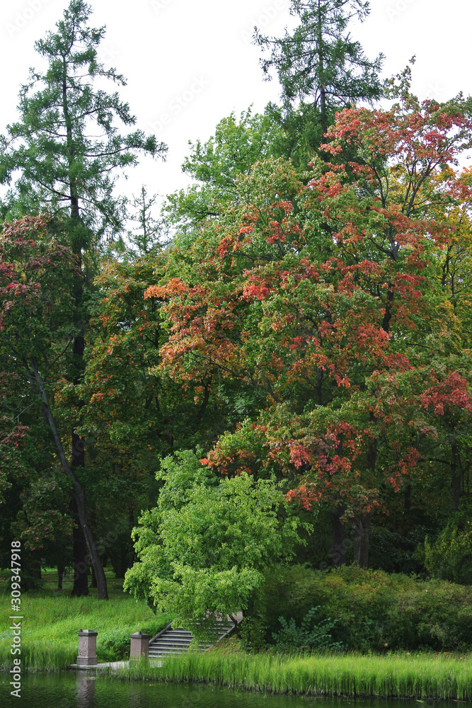 Naklejka premium autumn view of the stairs in the Park going down to the lake