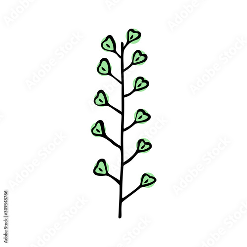 Single hand drawn herbal element. Doodle, simple outline illustration.